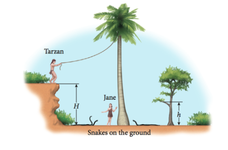 Tarzan
Jane
H
h
Snakes on the ground
