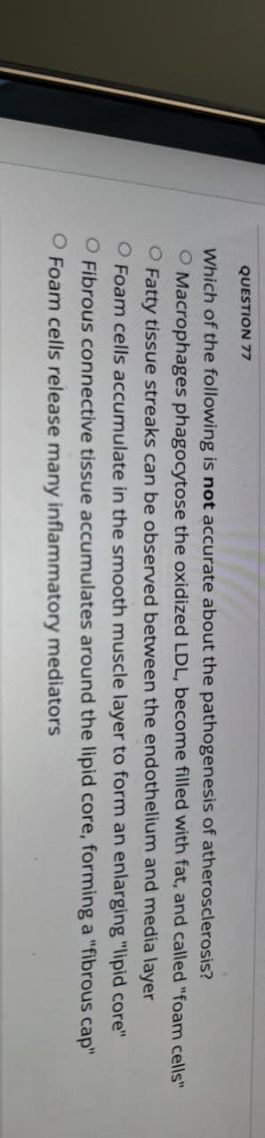 QUESTION 77
Which of the following is not accurate about the pathogenesis of atherosclerosis?
O Macrophages phagocytose the oxidized LDL, become filled with fat, and called "foam cells"
Fatty tissue streaks can be observed between the endothelium and media layer
O Foam cells accumulate in the smooth muscle layer to form an enlarging "lipid core"
O Fibrous connective tissue accumulates around the lipid core, forming a "fibrous cap"
O Foam cells release many inflammatory mediators