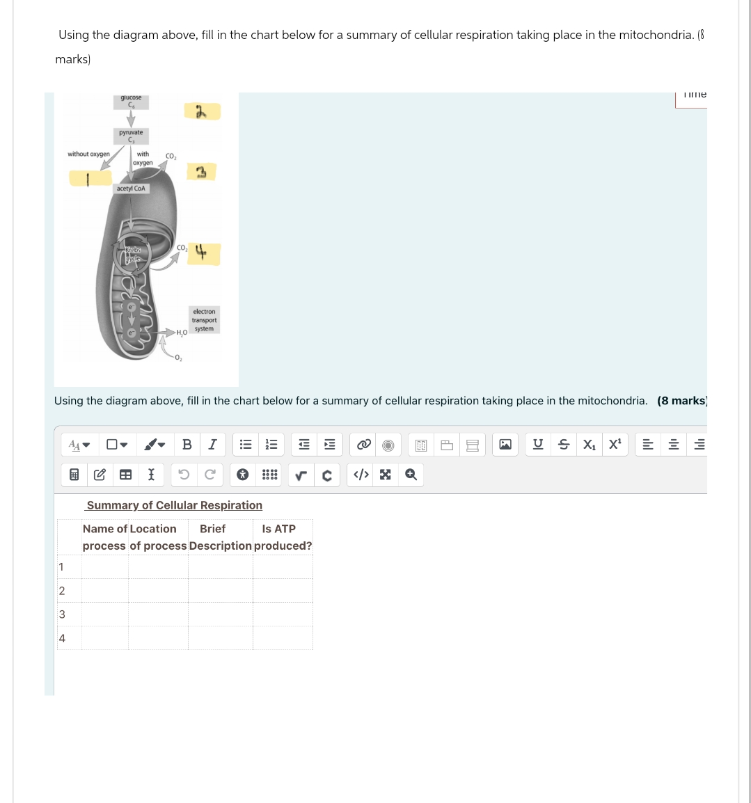 Using the diagram above, fill in the chart below for a summary of cellular respiration taking place in the mitochondria. (8
marks)
glucose
2
pyruvate
without oxygen
with
oxygen
acetyl CoA
Krebs
-но
3
electron
transport
system
Time
Using the diagram above, fill in the chart below for a summary of cellular respiration taking place in the mitochondria. (8 marks]
BI
5
C' Ⓡ
Summary of Cellular Respiration
Name of Location Brief
Is ATP
1
process of process Description produced?
2
3
4
</> x Q
U
Є X1 X¹
ilil