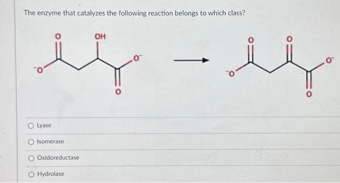 The enzyme that catalyzes the following reaction belongs to which class?
is-l
O Lyase
Isomerase
Oxidoreductase
O Hydrolase
OH