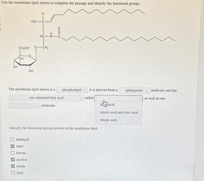 Use the membrane lipid shown to complete the passage and identify the functional groups.
OH
CH₂OH
OH
HO-
OH
✔amide
thiol
H
aldehyde
ether
ketone.
alcohol
C
HC-
The membrane lipid shown is a
-CH₂
one saturated fatty acid
phospholipid
molecule.
It is derived from a
Identify the functional groups present in the membrane lipid.
called
sphingosine
of acid
stearic acid and oleic acid
stearic acid
molecule and has
as well as one