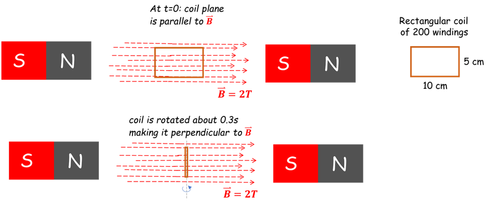 At t=0: coil plane
is parallel to B
Rectangular coil
of 200 windings
S N
S N
5 ст
10 ст
B = 2T
coil is rotated about 0.3s
making it perpendicular to B
S N
S N
B = 2T
