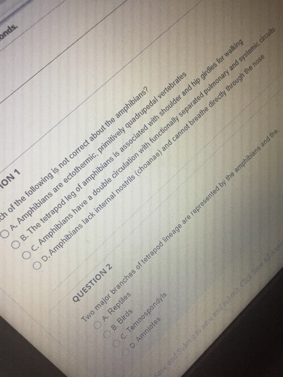 onds.
CON 1
ch of the following is not correct about the amphibians?
O A. Amphibians are ectothermic, primitively quadrupedal vertebrates
O B. The tetrapod leg of amphibians is associated with shoulder and hip girdles for walking
O C. Amphibians have a double circulation with functionally separated pulmonary and systemic circuits
O D. Amphibians lack internal nostrils (choanae) and cannot breathe directly through the nose
QUESTION 2
Two major branches of tetrapod lineage are represented by the amphibians and the.
O A. Reptiles
C. Temnospondyls
O B. Birds
D. Amniotes
Save and Submit to saie and submit Click Save All Ansu
