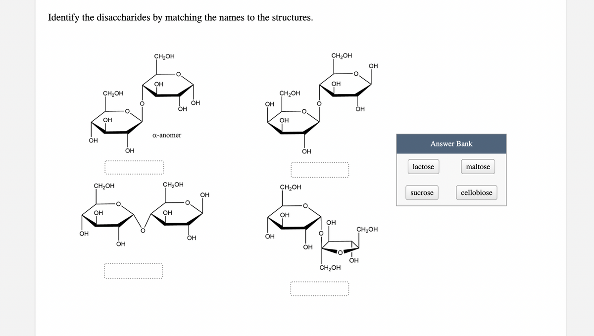 Identify the disaccharides by matching the names to the structures.
CH,OH
CH2OH
OH
OH
OH
CH2OH
CH2OH
OH
ОН
OH
OH
OH
OH
а-anomer
OH
Answer Bank
OH
ОН
lactose
maltose
CH2OH
CH2OH
CH,OH
sucrose
cellobiose
OH
OH
OH
OH
OH
CH2OH
OH
ОН
OH
ОН
OH
OH
CH2OH
-0
