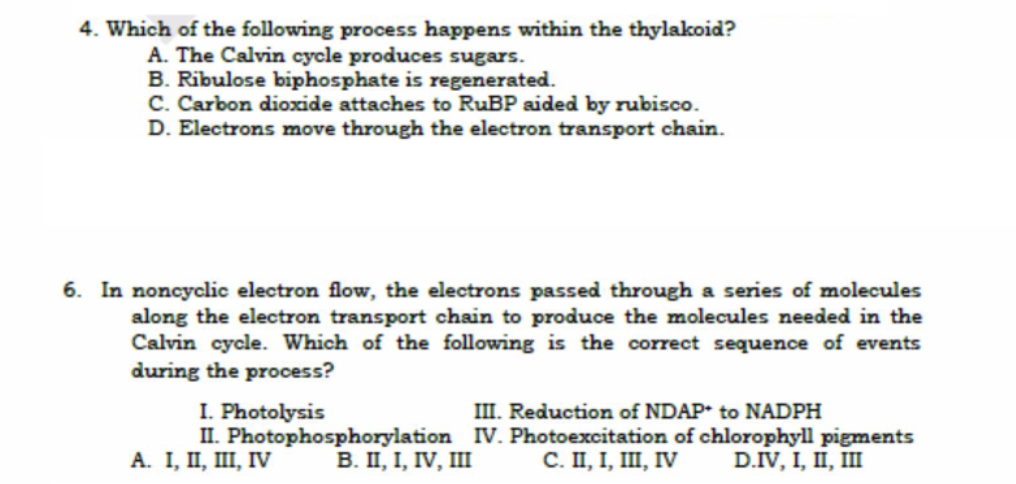 4. Which of the following process happens within the thylakoid?
A. The Calvin cycle produces sugars.
B. Ribulose biphosphate is regenerated.
C. Carbon dioxide attaches to RUBP aided by rubisco.
D. Electrons move through the electron transport chain.
6. In noncyclic electron flow, the electrons passed through a series of molecules
along the electron transport chain to produce the molecules needed in the
Calvin cycle. Which of the following is the correct sequence of events
during the process?
III. Reduction of NDAP* to NADPH
I. Photolysis
II. Photophosphorylation IV. Photoexcitation of chlorophyll pigments
A. I, II, II, IV
В. П, 1, IV, ш
C. II, I, II, IV
D.IV, 1, П, Ш
