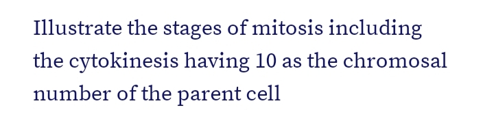 Illustrate the stages of mitosis including
the cytokinesis having 10 as the chromosal
number of the parent cell
