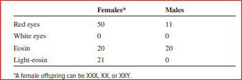 Females
Males
11
Red cyes
White eyes
50
20
20
Eosin
Light-cosin
21
"A female offspring can be XXX, XX, or XXY.
