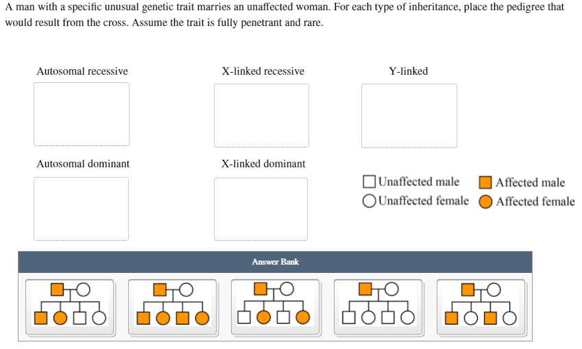 A man with a specific unusual genetic trait marries an unaffected woman. For each type of inheritance, place the pedigree that
would result from the cross. Assume the trait is fully penetrant and rare.
Autosomal recessive
X-linked recessive
Y-linked
Autosomal dominant
X-linked dominant
|Unaffected male
|Affected male
OUnaffected female
Affected female
Answer Bank
오모오모
