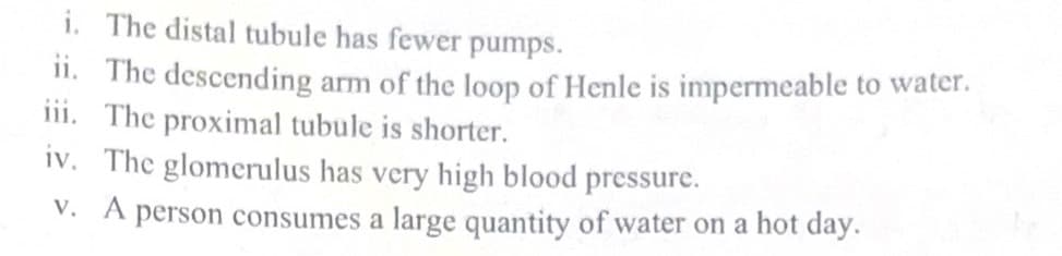 i. The distal tubule has fewer pumps.
ii. The descending arm of the loop of Henle is impermeable to water.
iii. The proximal tubule is shorter.
iv. The glomerulus has very high blood pressure.
v. A person consumes a large quantity of water on a hot day.