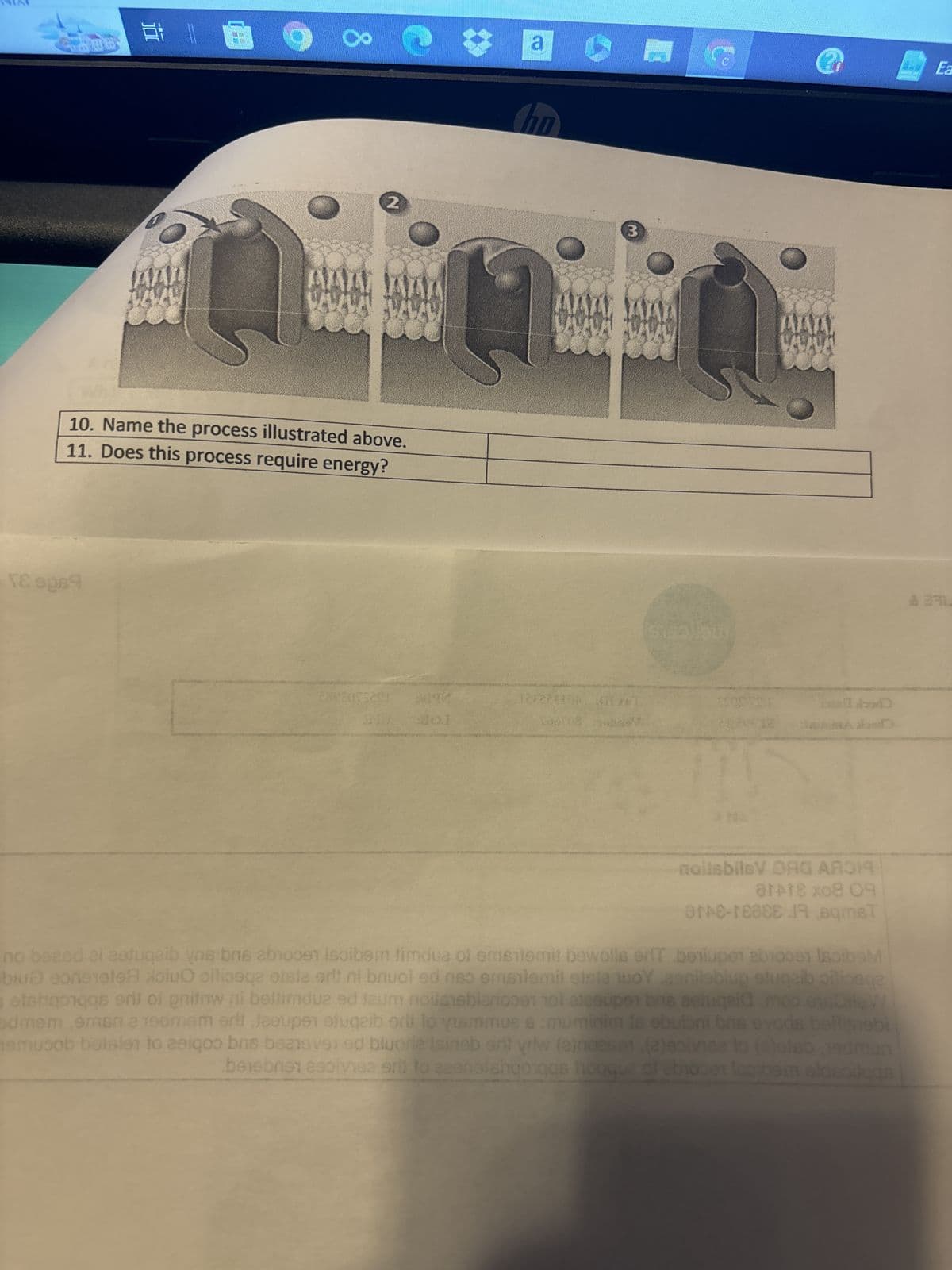 AAL
AAA
2
10. Name the process illustrated above.
11. Does this process require energy?
TƐ 9069
201
a
no
3
收費
Ea
to abo
A lasi
nollsbilsV ORG AAQI
at+18 x08 09
ar+8-18888 JR. BqmsT
no beasd el astuqeib yns brs above isoibem limdua of emailemit bewolls er beiuper ab10091 IscibeM
biuǝ sonerete xoiuO oilioeqe eisia ortt ni bnuol ed neo emailsmil eiple quoy conilobium elugaib pilipsge
setshqoqqs eril of pnitiw ni bellimdua ed feum noils biancool alsouper bns saluqaid moo.esOil W
edmem 9msn a 190mam eri Jeeupen eluqeib eri lo vismmua 6 :muminim is ebuloni bas ods beitingbi
emucob beisler to zeigoo bns beatovered bluorie Isineb srit yrlw (a)noaset (2)solvice to (e)alab, jedmun
bensbrist 290ivica srl to zaensishqoqgs hoqque of biocer lecibem eldsoilgas