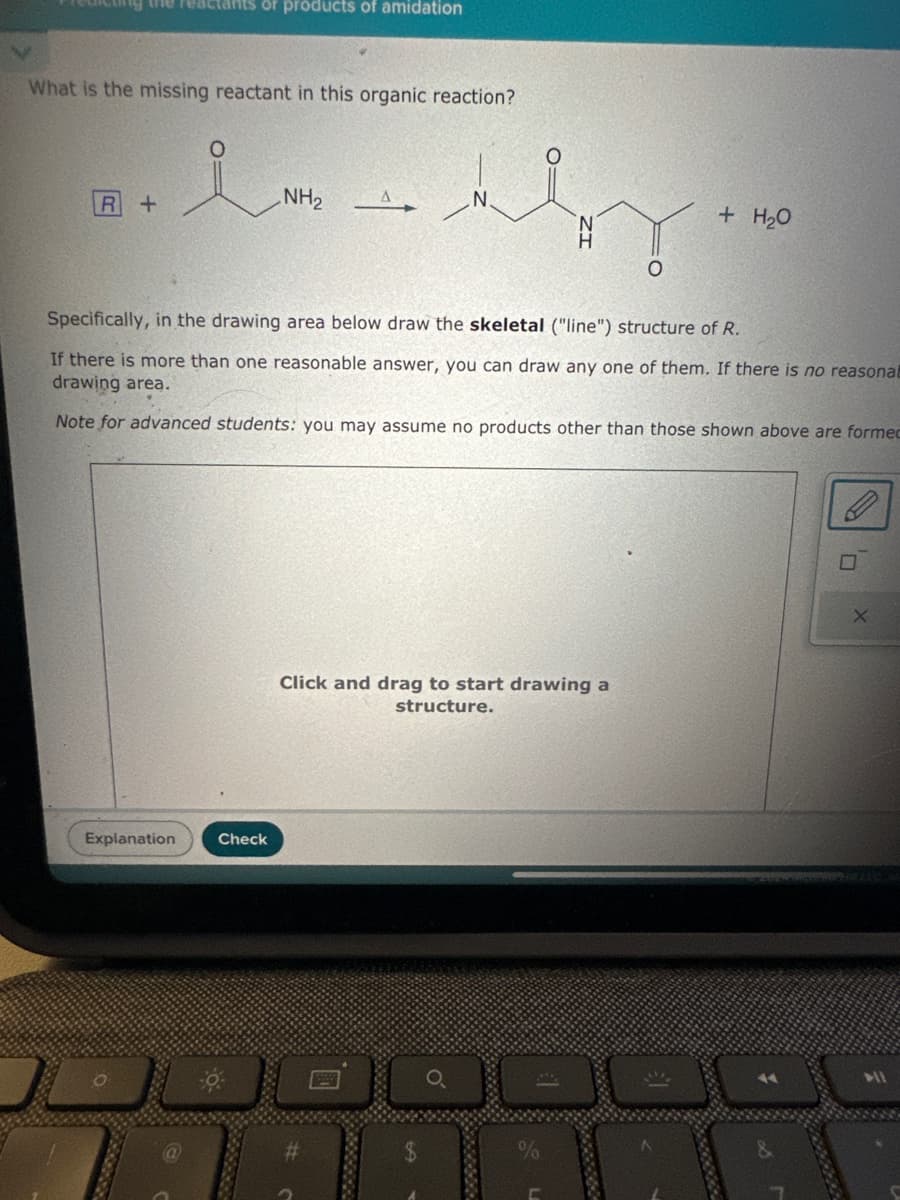 ing the reactants of products of amidation
What is the missing reactant in this organic reaction?
་་་
R +
NH2
N.
+ H₂O
H
O
Specifically, in the drawing area below draw the skeletal ("line") structure of R.
If there is more than one reasonable answer, you can draw any one of them. If there is no reasonal
drawing area.
Note for advanced students: you may assume no products other than those shown above are formed
Explanation
Check
Click and drag to start drawing a
structure.
ㅁ
X