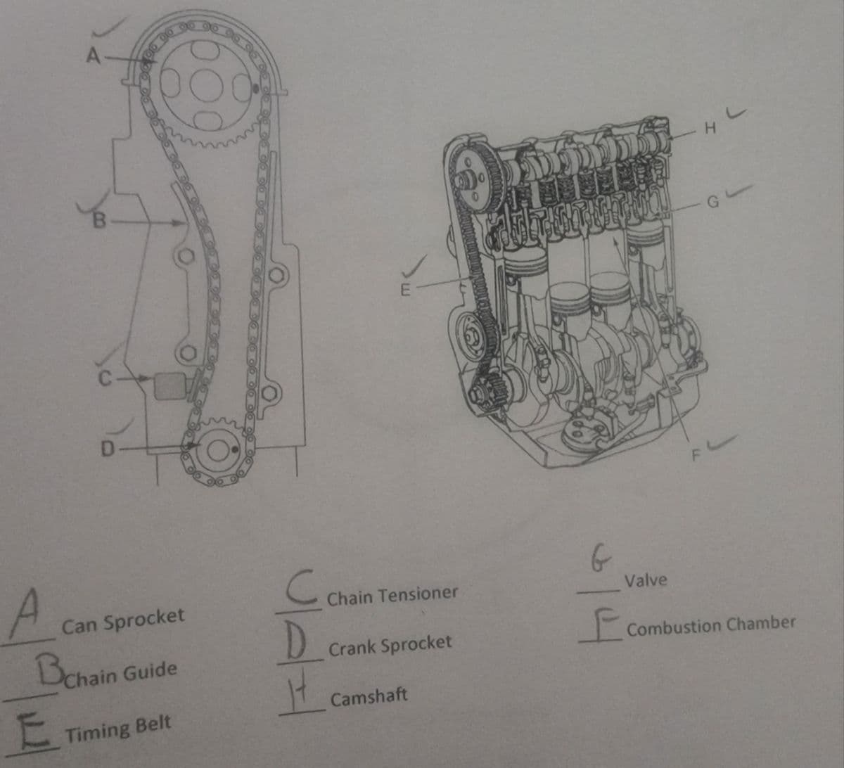 90
G
FL
Can Sprocket
Chain Tensioner
Valve
Behain Guide
D.
to
Crank Sprocket
Combustion Chamber
Timing Belt
Camshaft
