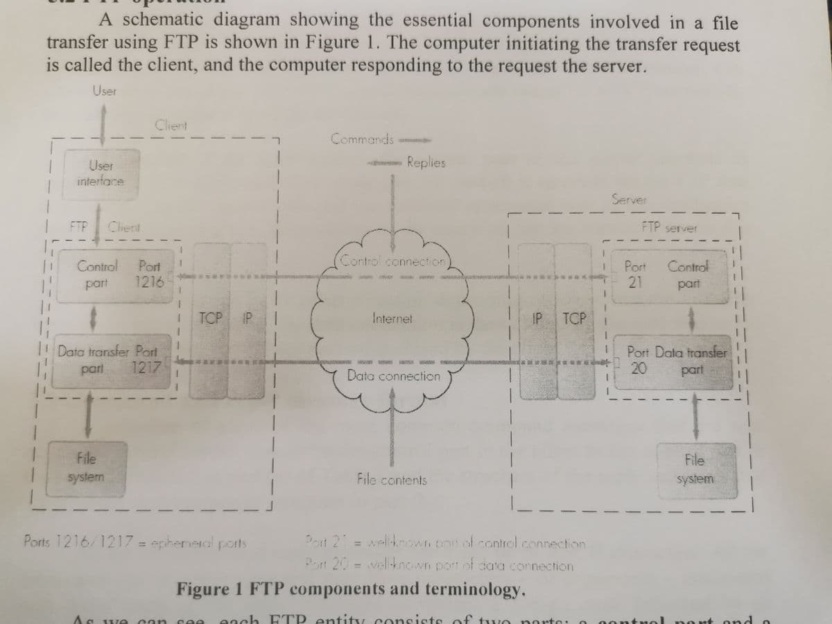 A schematic diagram showing the essential components involved in a file
transfer using FTP is shown in Figure 1. The computer initiating the transfer request
is called the client, and the computer responding to the request the server.
User
Client
Commands
Replies
User
interfoce
Server
FTP
Client
FTP server
Control
Control connection
Control
Port
1216
Port
21
移
終
part
part
TCP P
Internet
IP
TCP
Data transfer Port
Port Data transfer
pari
1217
Data connection
20
part
File
File
system
File contents
system
Ports 1216/1217 = ephemeral pats
Port 21 = wel-known poit of control connection
%3D
Patt 20 = well-known port ol data connection
Figure 1 FTP components and terminology.
each ET P entity consists of two porto:
ports:
0ontrol nort ond o
we
can
