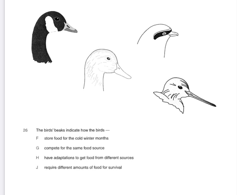 26
The birds' beaks indicate how the birds -
F store food for the cold winter months
G compete for the same food source
H have adaptations to get food from different sources
J require different amounts of food for survival
