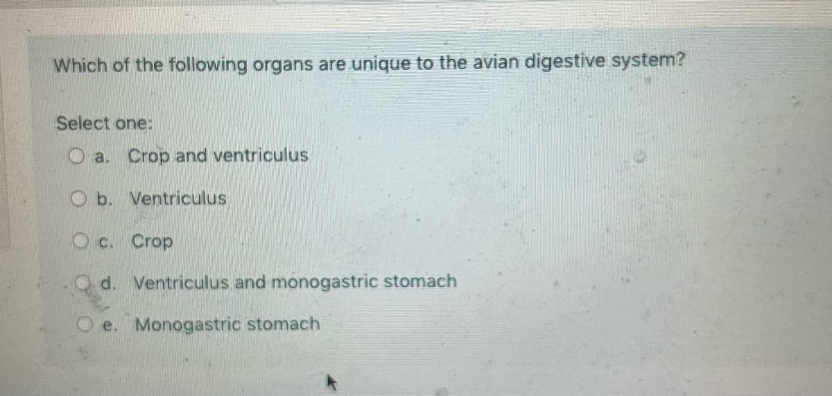 ### Unique Organs in the Avian Digestive System

**Question:**  
Which of the following organs are unique to the avian digestive system?

**Options:**
- a. Crop and ventriculus
- b. Ventriculus
- c. Crop
- d. Ventriculus and monogastric stomach
- e. Monogastric stomach