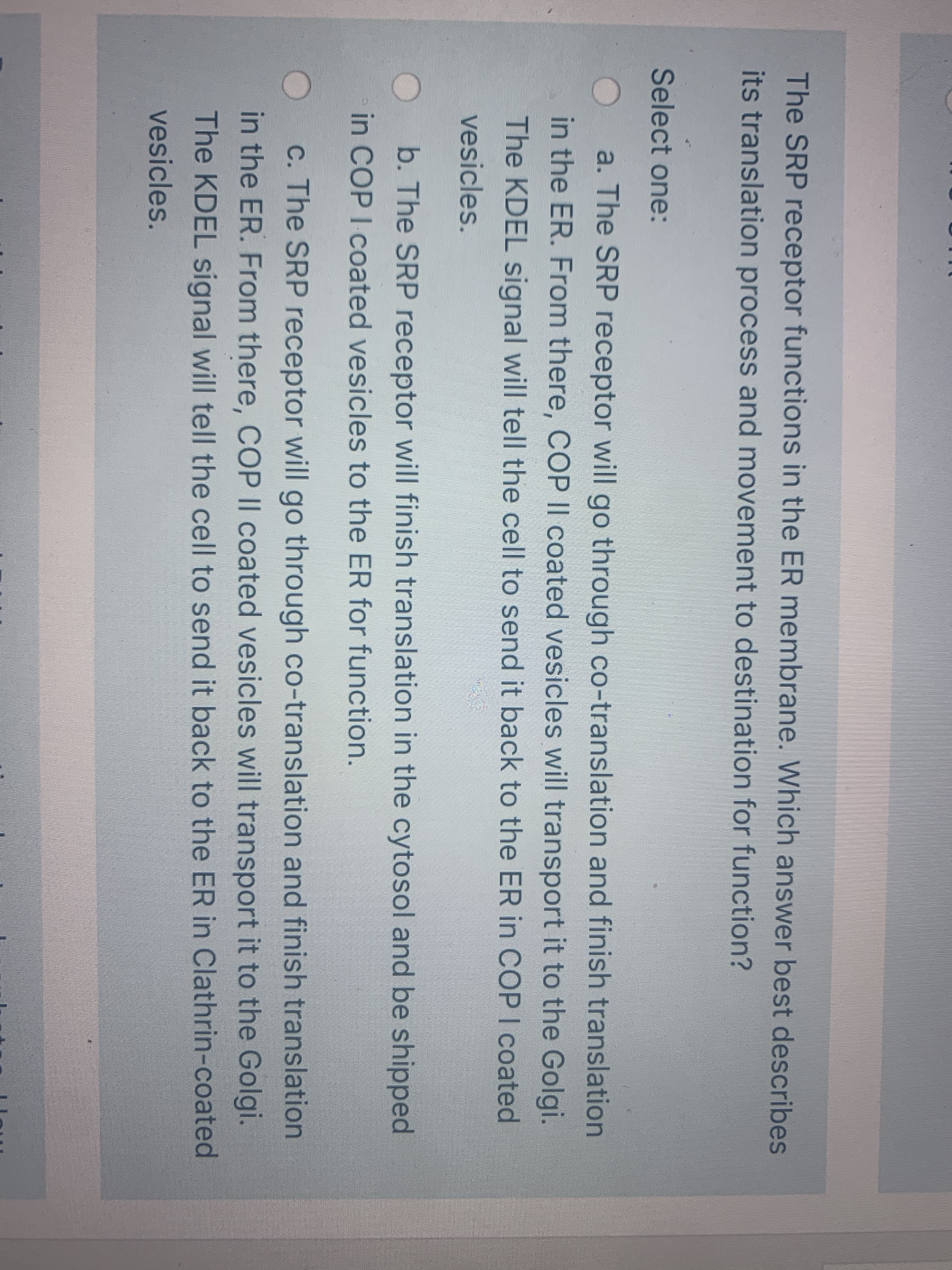 The SRP receptor functions in the ER membrane. Which answer best describes
its translation process and movement to destination for function?
