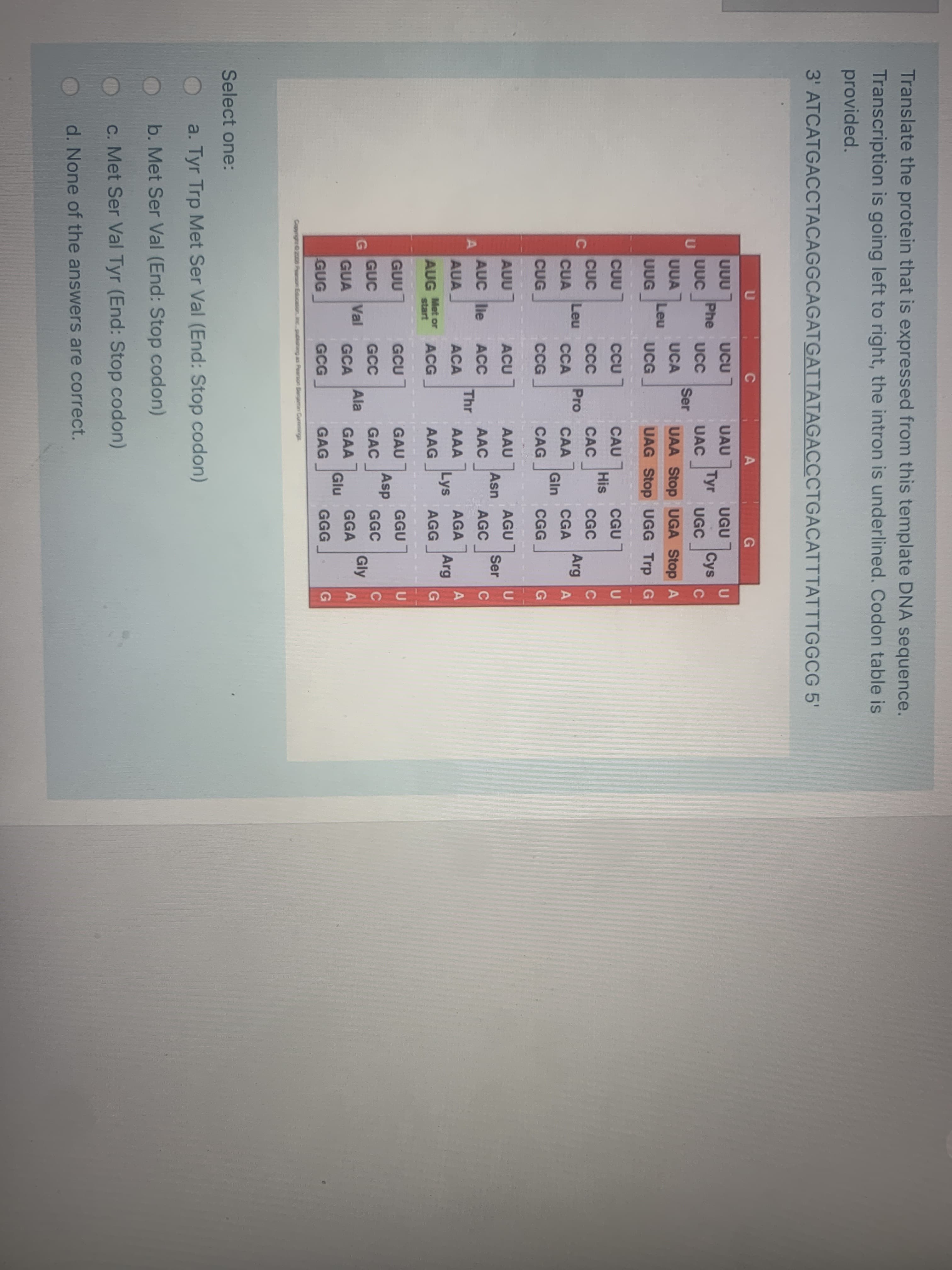 Translate the protein that is expressed from this template DNA sequence.
Transcription is going left to right, the intron is underlined. Codon table is
provided.
3' ATCATGACCTACAGGCAGATGATTATAGACCCTGACATTTATTTGGCG 5'
