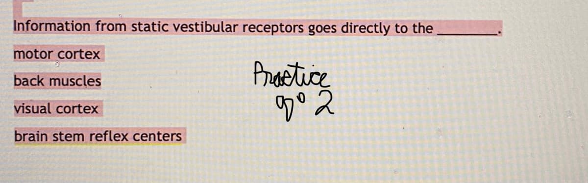 Information from static vestibular receptors goes directly to the
motor cortex
Proetice
back muscles
visual cortex
brain stem reflex centers
