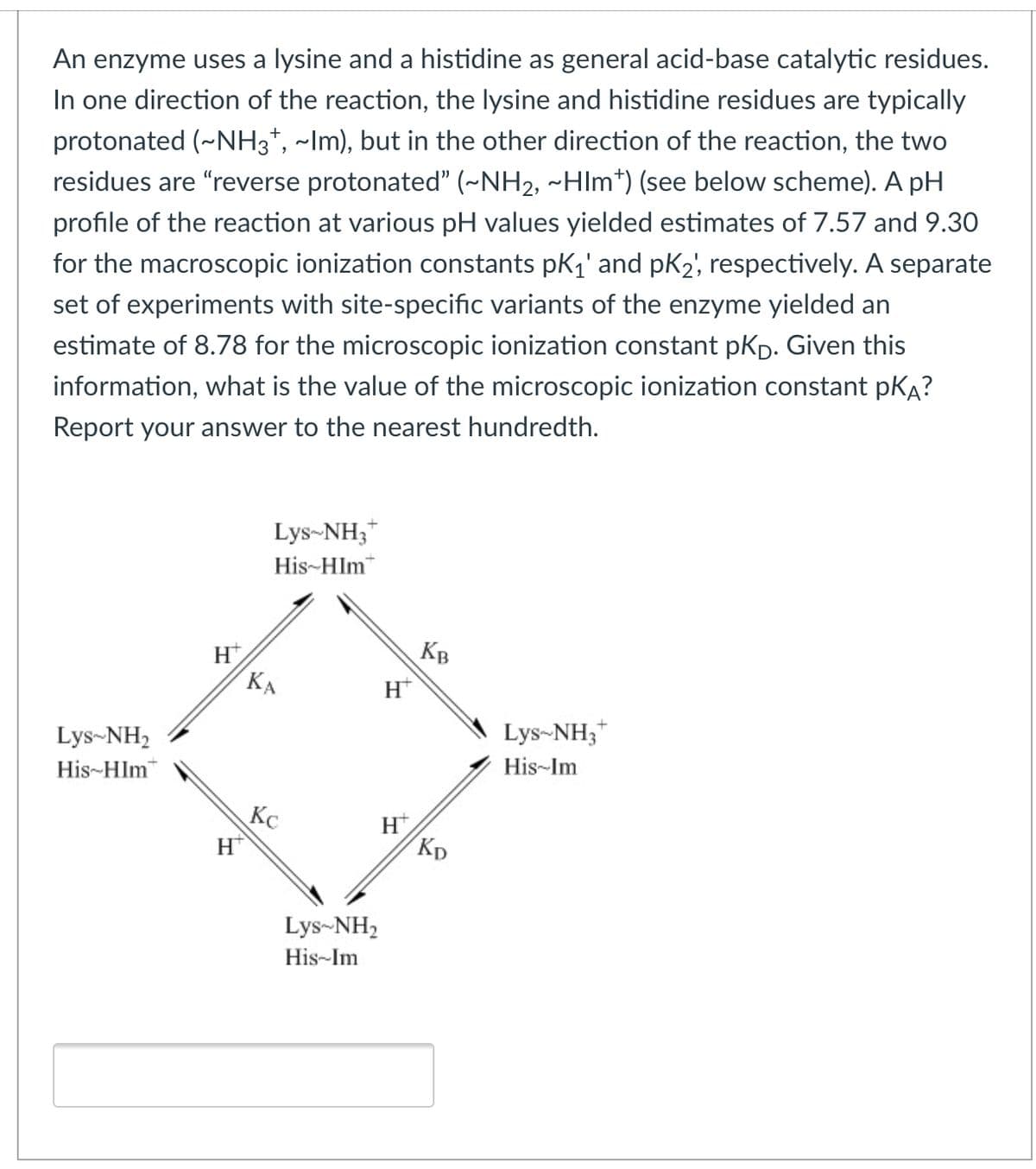 An enzyme uses a lysine and a histidine as general acid-base catalytic residues.
In one direction of the reaction, the lysine and histidine residues are typically
protonated (~NH3*, ~Im), but in the other direction of the reaction, the two
residues are "reverse protonated" (~NH2, ~Hlm*) (see below scheme). A pH
profile of the reaction at various pH values yielded estimates of 7.57 and 9.30
for the macroscopic ionization constants pk,' and pK2, respectively. A separate
set of experiments with site-speciffic variants of the enzyme yielded an
estimate of 8.78 for the microscopic ionization constant pKp. Given this
information, what is the value of the microscopic ionization constant pKA?
Report your answer to the nearest hundredth.
Lys-NH3*
His-HIm"
KB
H
KA
H*
Lys-NH2
Lys-NH3*
His-HIm"
His-Im
Kc
H*
Kp
Lys-NH2
His-Im
