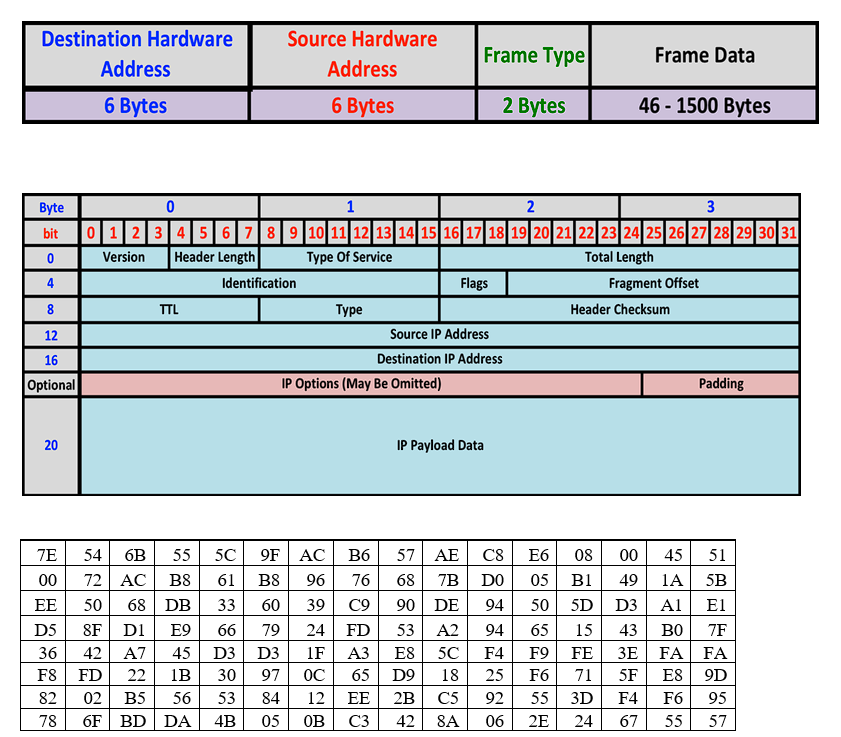 Destination Hardware
Byte
bit
0
4
8
12
16
Optional
20
Address
6 Bytes
Source Hardware
Address
6 Bytes
TTL
Identification
0
1
2
3
0 1 2 3 4 5 6 7 8 9 10 11 12 13 14 15 16 17 18 19 20 21 22 23 24 25 26 27 28 29 30 31
Version Header Length
Type Of Service
Total Length
Fragment Offset
Header Checksum
Type
IP Options (May Be Omitted)
7E
54 6B 55
5C
00 72 AC B8 61 B8 96
EE 50 68 DB 33 60 39
D5 8F D1 E9 66 79 24
45 D3 D3 1F
22
1B 30 97 OC
B5 56
53
84 12
6F BD DA 4B 05
36 42 A7
F8 FD
02
82
78
9F AC B6
76
C9
EE
OB C3
Frame Type
2 Bytes
Source IP Address
Destination IP Address
Flags
IP Payload Data
90
FD 53
A3 E8
65
D9
2B
42
57 AE C8 E6 08
68
7B
DO
DE 94
A2 94
5C F4
18 25
C5
92
8A
06
Frame Data
46 - 1500 Bytes
00 45 51
B1
49
1A
5B
05
50 5D D3
Al El
65 15
43
ВО
7F
F9 FE
3E FA
FA
F6 71
5F E8 9D
55
3D
2E 24
Padding
F4
67 55
F6 95
57