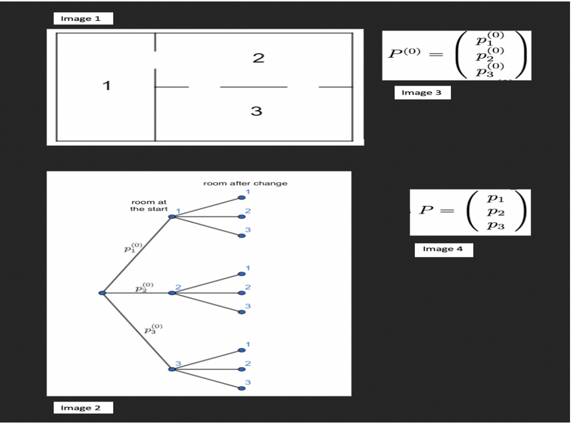 Image 1
Image 2
1
room at
the start
2,(0)
(0)
P₂
p(0)
2
3
room after change
P(0)
=
Image 3
P =
Image 4
(0)
Pi
(0)
P2
(
(0)
P3
P1
P2
P3