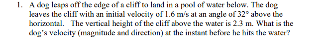 1. A dog leaps off the edge of a cliff to land in a pool of water below. The dog
leaves the cliff with an initial velocity of 1.6 m/s at an angle of 32° above the
horizontal. The vertical height of the cliff above the water is 2.3 m. What is the
dog's velocity (magnitude and direction) at the instant before he hits the water?
