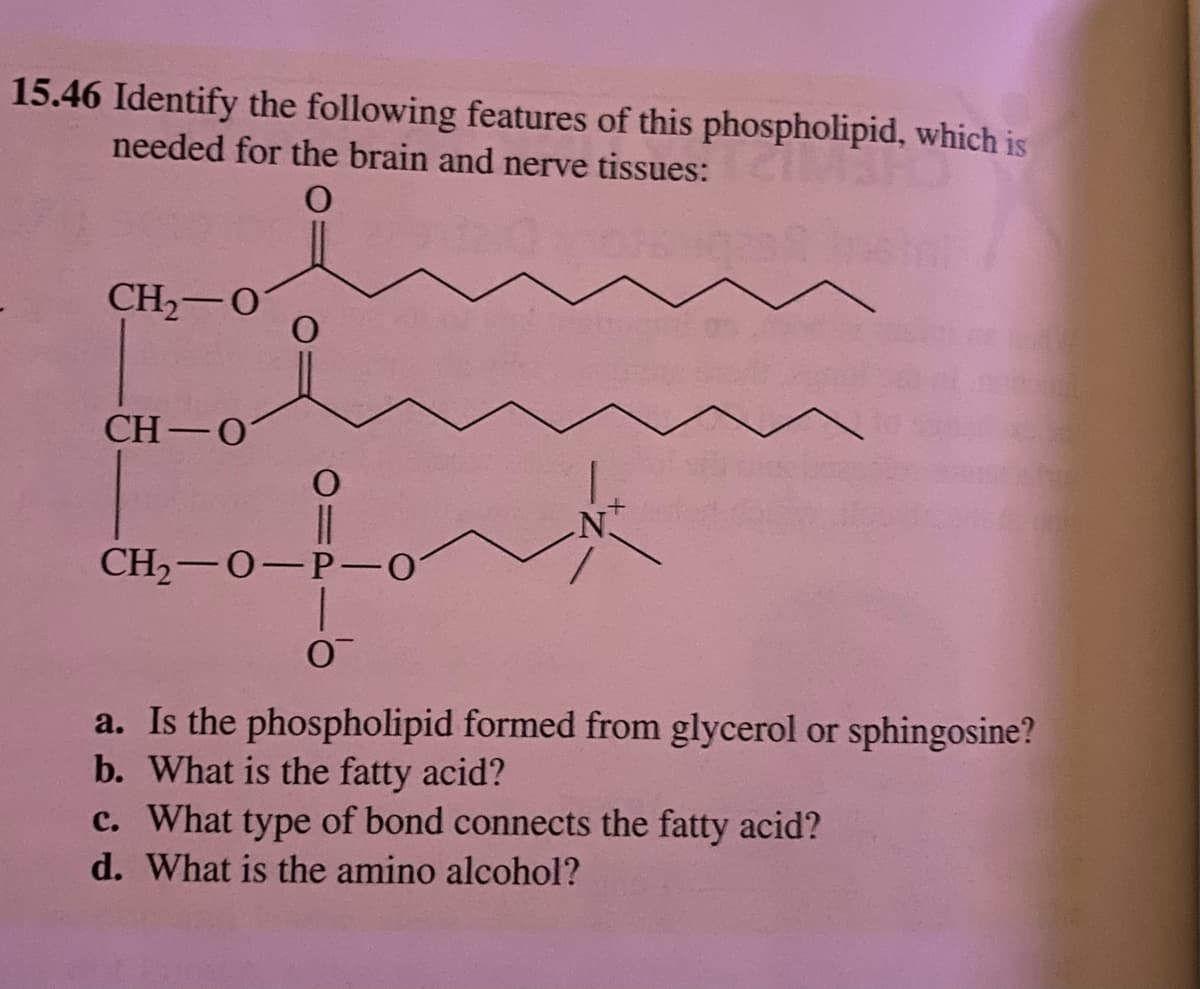 15.46 Identify the following features of this phospholipid, which is
needed for the brain and nerve tissues:
O
CH,−O
CH-0
CH₂-O-P-01
0
a. Is the phospholipid formed from glycerol or sphingosine?
b. What is the fatty acid?
c. What type of bond connects the fatty acid?
d. What is the amino alcohol?