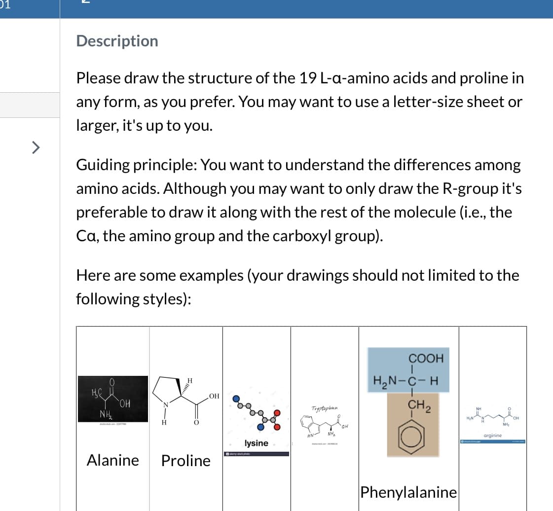 01
Description
Please draw the structure of the 19 L-a-amino acids and proline in
any form, as you prefer. You may want to use a letter-size sheet or
larger, it's up to you.
Guiding principle: You want to understand the differences among
amino acids. Although you may want to only draw the R-group it's
preferable to draw it along with the rest of the molecule (i.e., the
Ca, the amino group and the carboxyl group).
Here are some examples (your drawings should not limited to the
following styles):
NH₂
OH
Alanine
H
H
O
OH
Proline
lysine
alarmy stock płwłos
Tryptophan
OH
COOH
|
H₂N-C-H
CH₂
Phenylalanine
arginine