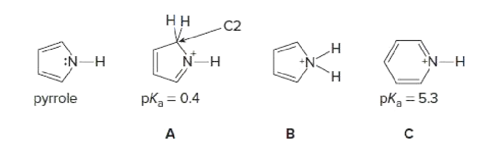 НН
C2
:N-H
-H-
+N-H
H.
ругrole
pk3 = 0.4
pk = 5.3
в
