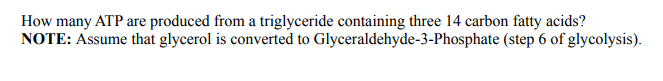 How many ATP are produced from a triglyceride containing three 14 carbon fatty acids?
NOTE: Assume that glycerol is converted to Glyceraldehyde-3-Phosphate (step 6 of glycolysis).
