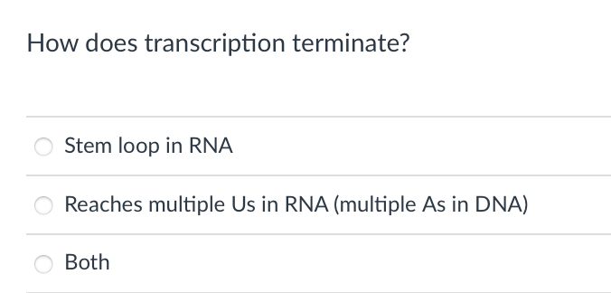 How does transcription terminate?
Stem loop in RNA
Reaches multiple Us in RNA (multiple As in DNA)
Both
