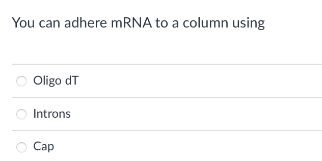 You can adhere mRNA to a column using
Oligo dT
Introns
Сap
