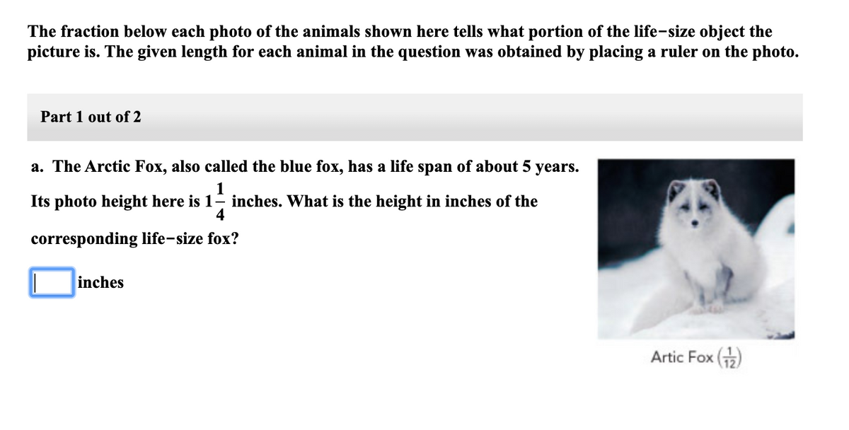 The fraction below each photo of the animals shown here tells what portion of the life-size object the
picture is. The given length for each animal in the question was obtained by placing a ruler on the photo.
Part 1 out of 2
a. The Arctic Fox, also called the blue fox, has a life span of about 5 years.
1
Its photo height here is 1- inches. What is the height in inches of the
4
corresponding life-size fox?
inches
Artic Fox ()
