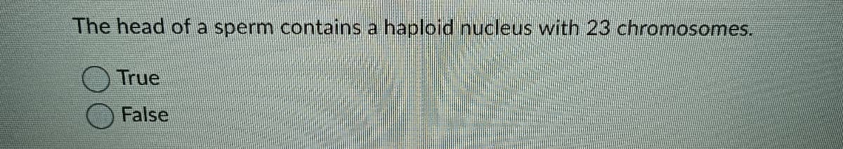 The head of a sperm contains a haploid nucleus with 23 chromosomes.
True
False