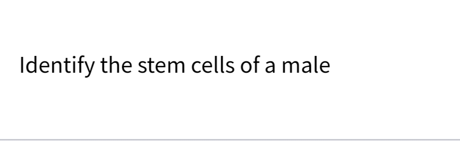 Identify the stem cells of a male
