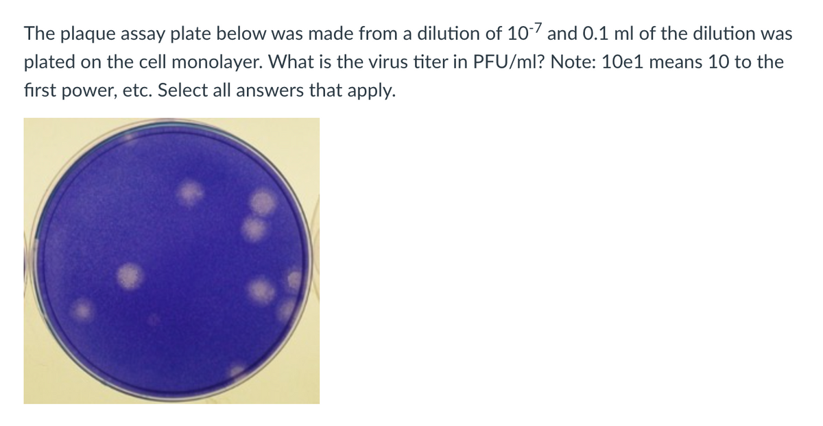 The plaque assay plate below was made from a dilution of 10-7 and 0.1 ml of the dilution was
plated on the cell monolayer. What is the virus titer in PFU/ml? Note: 10e1 means 10 to the
first power, etc. Select all answers that apply.