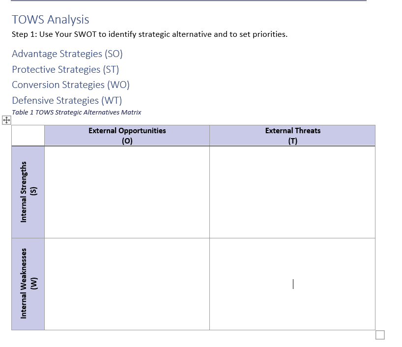 TOWS Analysis
Step 1: Use Your SWOT to identify strategic alternative and to set priorities.
Advantage Strategies (SO)
Protective Strategies (ST)
Conversion Strategies (WO)
Defensive Strategies (WT)
Table 1 TOWS Strategic Alternatives Matrix
External Opportunities
External Threats
(0)
(T)
|
Internal Strengths
(s)
Internal Weaknesses
(M)
