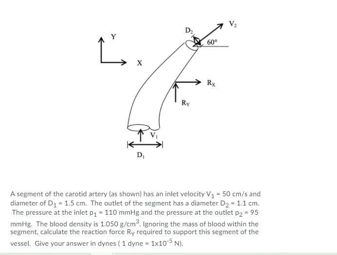 V2
D2
Y
60°
X
Rx
Ry
不
D,
A segment of the carotid artery (as shown) has an inlet velocity V1 = 50 cm/s and
diameter of D1 = 1.5 cm. The outlet of the segment has a diameter D2 = 1.1 cm.
The pressure at the inlet p1 = 110 mmHg and the pressure at the outlet p2 = 95
mmHg. The blood density is 1.050 g/cm³. Ignoring the mass of blood within the
segment, calculate the reaction force Ry required to support this segment of the
vessel. Give your answer in dynes (1 dyne = 1x105 N).
