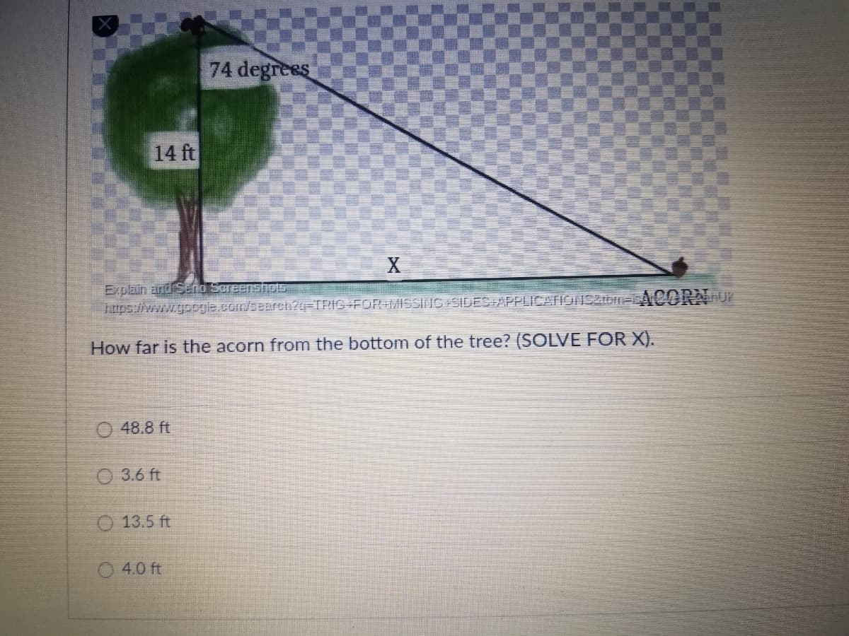 74 degrees
14 ft
Explain dridSend Soreenshhots
Ttps://www.gpogle.com/search?4=TRIG+FORMISSINC SIDES APPLICATIONSZIDIN=LACORANU?
How far is the acorn from the bottom of the tree? (SOLVE FOR X).
O 48.8 ft
O 3.6 ft
O 13.5 ft
O 4.0 ft
