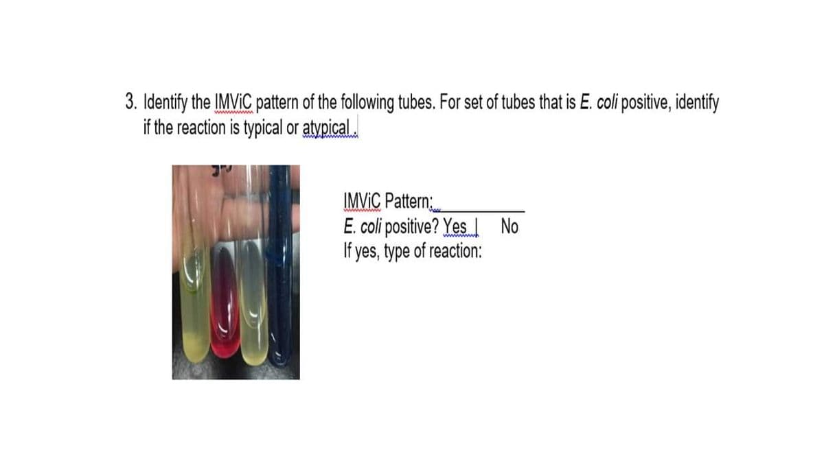3. Identify the IMVIC pattern of the following tubes. For set of tubes that is E. coli positive, identify
if the reaction is typical or atypical.
www w
ww www
IMVIÇ Pattern:
E. coli positive? Yes I No
If yes, type of reaction:
