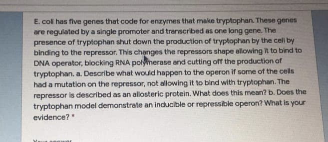 E. coli has five genes that code for enzymes that make tryptophan. These genes
are regulated by a single promoter and transcribed as one long gene. The
presence of tryptophan shut down the production of tryptophan by the cell by
binding to the repressor. This changes the repressors shape allowing it to bind to
DNA operator, blocking RNA polymerase and cutting off the production of
tryptophan. a. Describe what would happen to the operon if some of the cells
had a mutation on the repressor, not allowing it to bind with tryptophan. The
repressor is described as an allosteric protein. What does this mean? b. Does the
tryptophan model demonstrate an inducible or repressible operon? What is your
evidence?*
