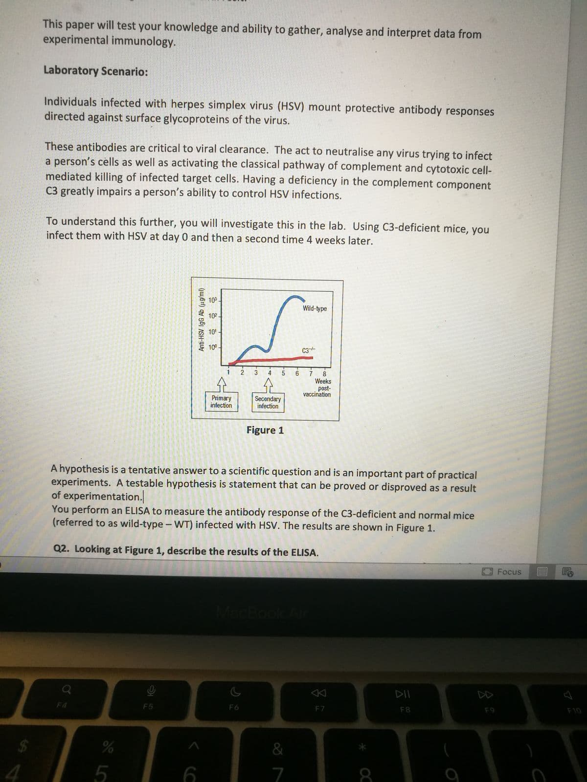 F
4
This paper will test your knowledge and ability to gather, analyse and interpret data from
experimental immunology.
Laboratory Scenario:
Individuals infected with herpes simplex virus (HSV) mount protective antibody responses
directed against surface glycoproteins of the virus.
These antibodies are critical to viral clearance. The act to neutralise any virus trying to infect
a person's cells as well as activating the classical pathway of complement and cytotoxic cell-
mediated killing of infected target cells. Having a deficiency in the complement component
C3 greatly impairs a person's ability to control HSV infections.
To understand this further, you will investigate this in the lab. Using C3-deficient mice, you
infect them with HSV at day 0 and then a second time 4 weeks later.
%
5
D
F5
Anti-HSV IgG Ab (μg/ml)
<C
6
10³.
10².
10¹
10⁰-
1 2 3 4
Primary
infection
5 6
A hypothesis is a tentative answer to a scientific question and is an important part of practical
experiments. A testable hypothesis is statement that can be proved or disproved as a result
of experimentation.
You perform an ELISA to measure the antibody response of the C3-deficient and normal mice
(referred to as wild-type-WT) infected with HSV. The results are shown in Figure 1.
Q2. Looking at Figure 1, describe the results of the ELISA.
F6
Secondary
infection
Figure 1
Wild-type
&
7
C3
T
7
8
Weeks
post-
vaccination
F7
8
DII
F8
P
F9
Focus