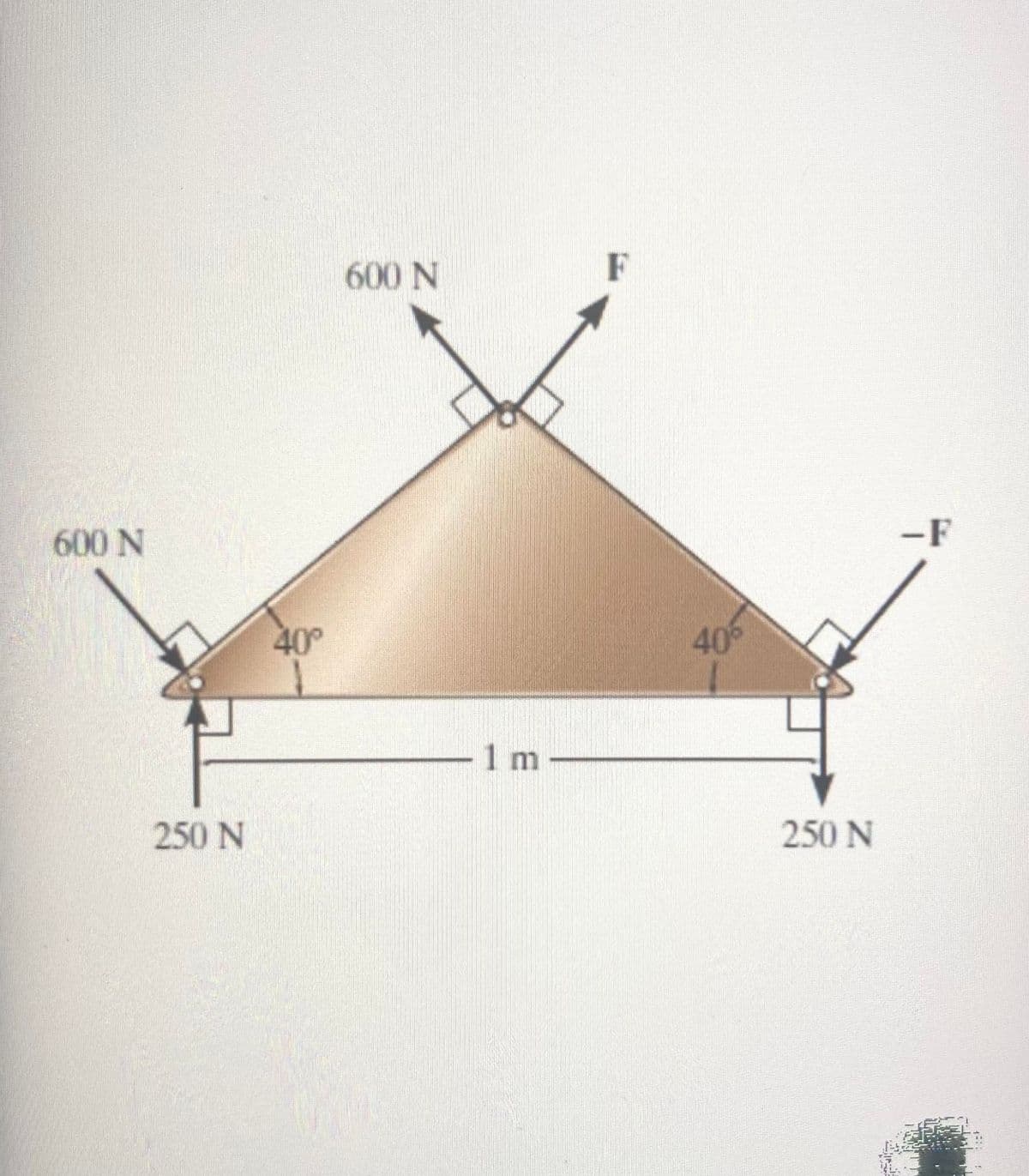 600 N
F
600 N
-F
40°
40
1 m
250 N
250 N
