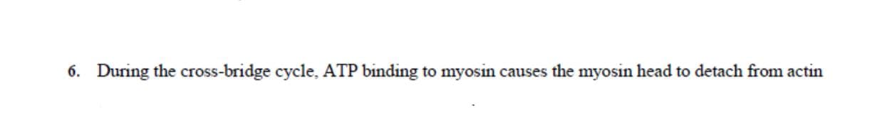 6. During the cross-bridge cycle, ATP binding to myosin causes the myosin head to detach from actin
