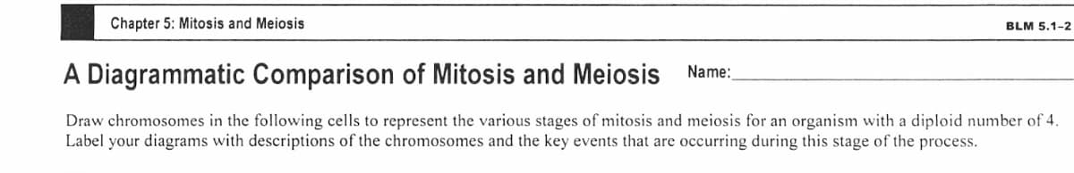 Chapter 5: Mitosis and Meiosis
BLM 5.1-2
A Diagrammatic Comparison of Mitosis and Meiosis
Name:
Draw chromosomes in the following cells to represent the various stages of mitosis and meiosis for an organism with a diploid number of 4.
Label your diagrams with descriptions of the chromosomes and the key events that are occurring during this stage of the process.
