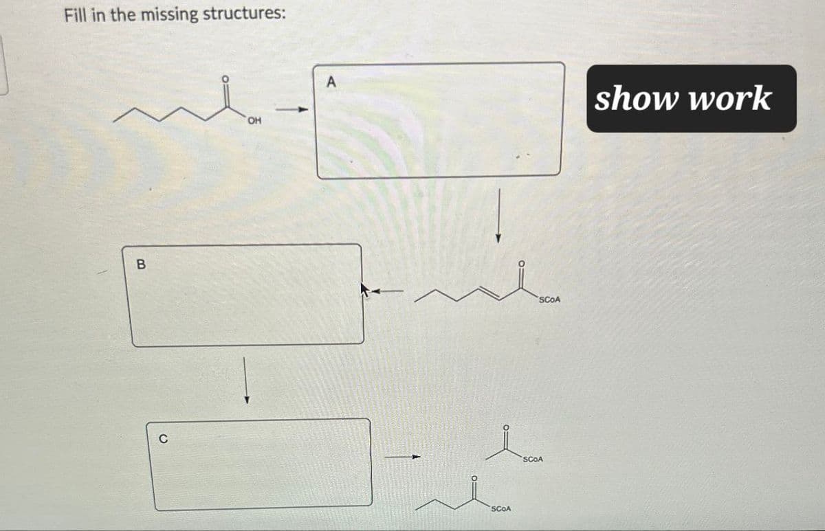 Fill in the missing structures:
B
OH
A
show work
SCOA
SCOA
SCOA