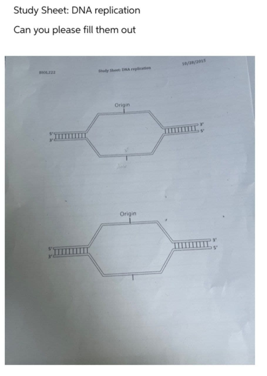 Study Sheet: DNA replication
Can you please fill them out
BIOL222
Study Sheet: DNA replication
10/28/2015
Origin
Origin