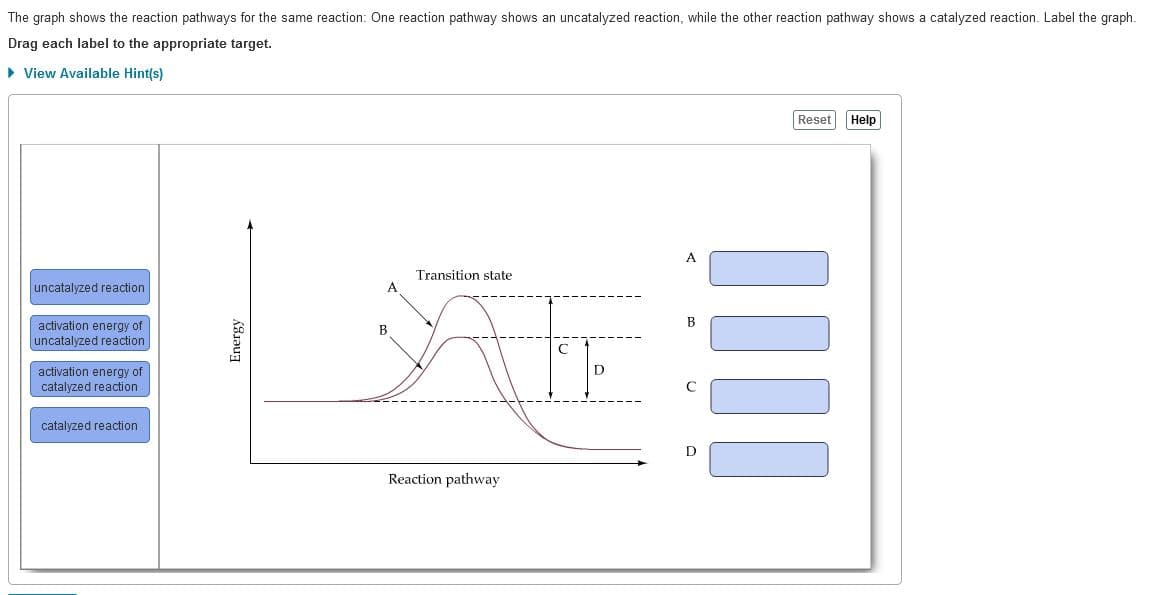 The graph shows the reaction pathways for the same reaction: One reaction pathway shows an uncatalyzed reaction, while the other reaction pathway shows a catalyzed reaction. Label the graph.
Drag each label to the appropriate target.
• View Available Hint(s)
Reset
Help
A
Transition state
uncatalyzed reaction
B
activation energy of
uncatalyzed reaction
B
activation energy of
catalyzed reaction
catalyzed reaction
Reaction pathway
Energy
