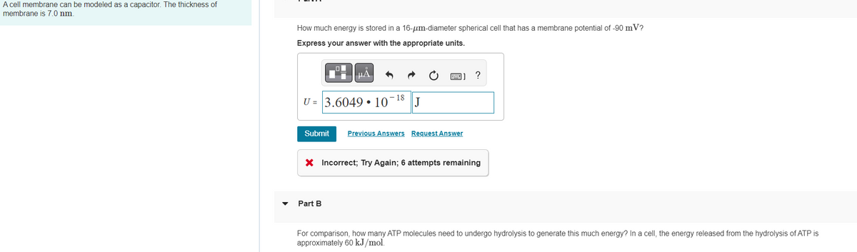 A cell membrane can be modeled as a capacitor. The thickness of
membrane is 7.0 nm.
How much energy is stored in a 16-μm-diameter spherical cell that has a membrane potential of -90 m V?
Express your answer with the appropriate units.
ΜΑ
18
U= 3.6049 10 J
Submit Previous Answers Request Answer
Part B
?
X Incorrect; Try Again; 6 attempts remaining
For comparison, how many ATP molecules need to undergo hydrolysis to generate this much energy? In a cell, the energy released from the hydrolysis of ATP is
approximately 60 kJ/mol.