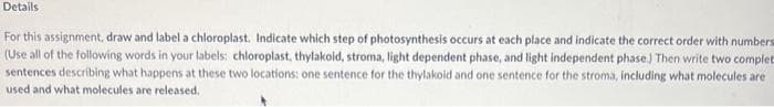 Details
For this assignment, draw and label a chloroplast. Indicate which step of photosynthesis occurs at each place and indicate the correct order with numbers
(Use all of the following words in your labels: chloroplast, thylakoid, stroma, light dependent phase, and light independent phase.) Then write two complet
sentences describing what happens at these two locations: one sentence for the thylakoid and one sentence for the stroma, including what molecules are
used and what molecules are released.